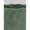 Doniczka Fern zielona