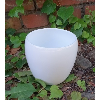 Osłonka Lidy biała