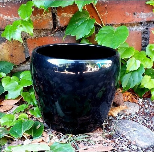 Osłonka Lidy czarna