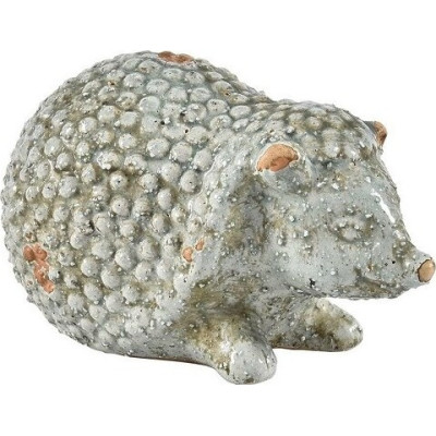 Jeżyk Roma leżący