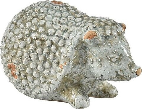 Jeżyk Roma leżący