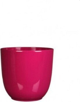 Doniczka Tusca fuksja