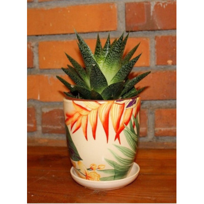 Doniczka Nova Kalka kolorowe liście