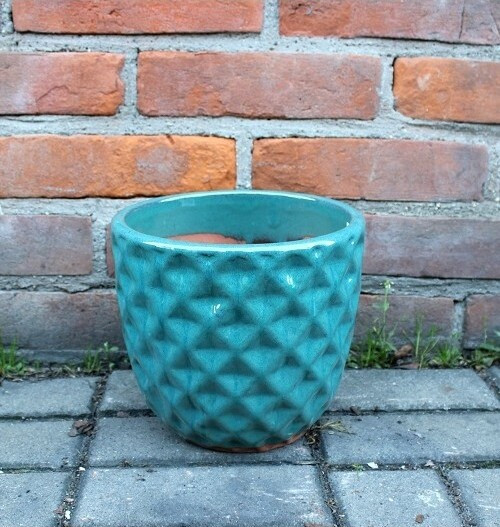 Donica Felix ocean blue