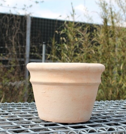 Donica terakota Ring