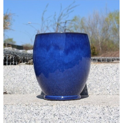 Donica Liwia niebieska