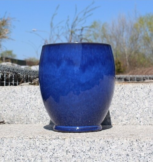 Donica Liwia niebieska