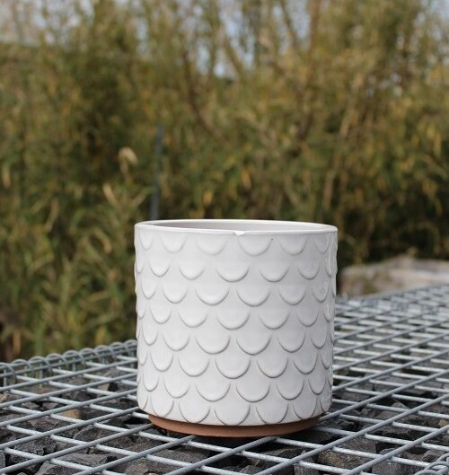 Donica walec Łuska biała