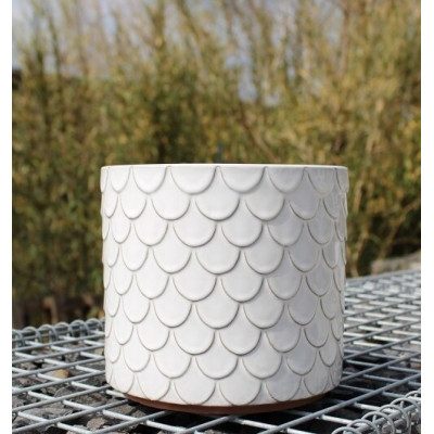 Donica walec Łuska biała