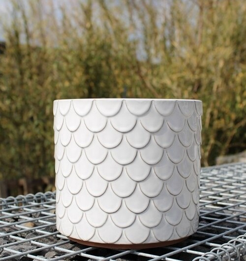 Donica walec Łuska biała
