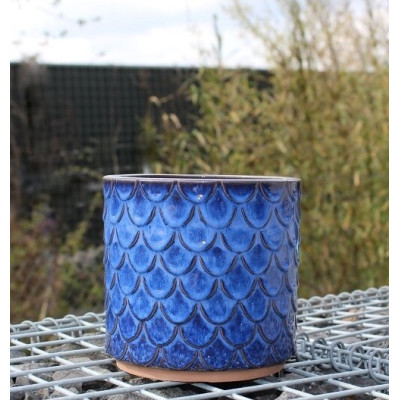 Donica walec Łuska niebieska
