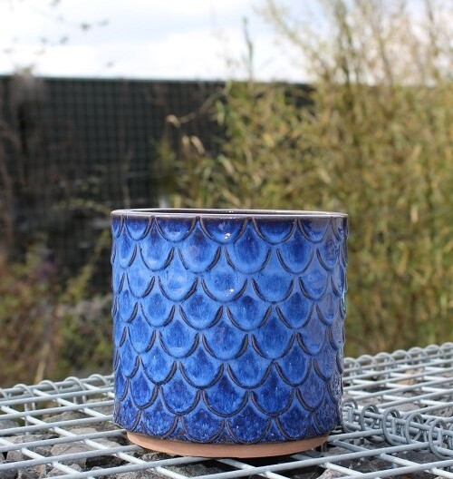Donica walec Łuska niebieska