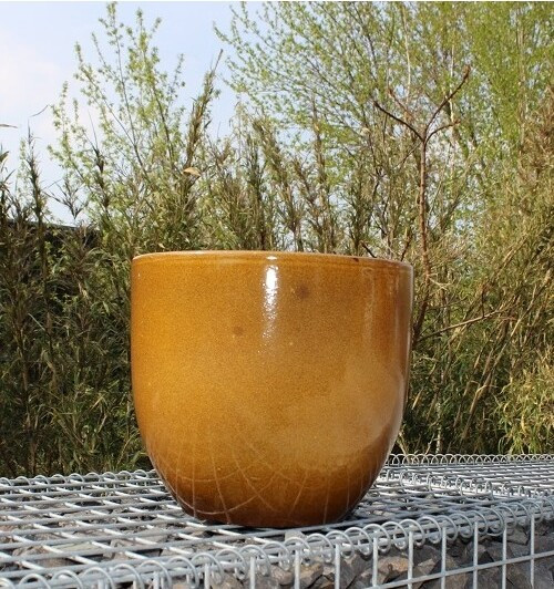 Donica Shanghai Egg miodowa