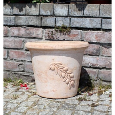 Donica terakota Oliwka gałązka