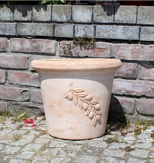 Donica terakota Oliwka gałązka