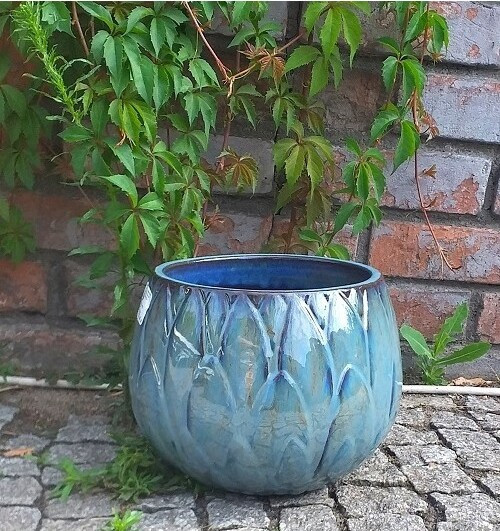 Donica Nelumbo niebieska