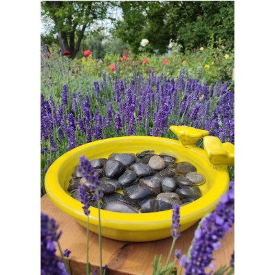 Poidełko ceramiczne dla owadów z ptakiem i motyl żółte