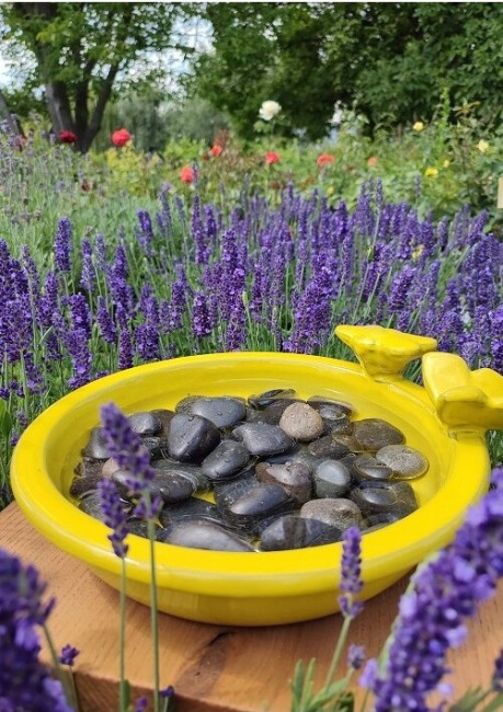 Poidełko ceramiczne dla owadów z ptakiem i motyl żółte