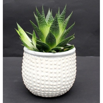 Doniczka Aldo biała