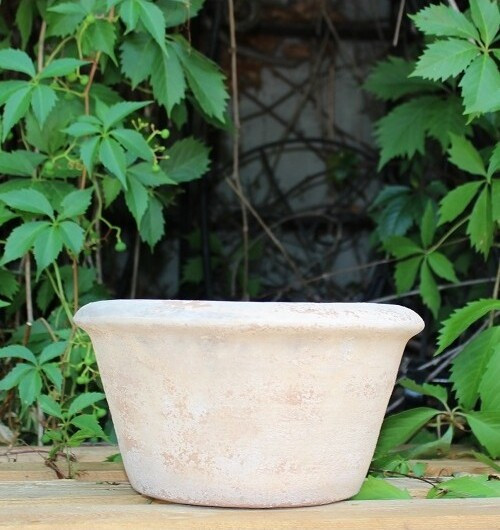 Donica Choco Old Saba misa