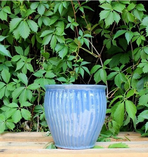 Donica Misty niebieska