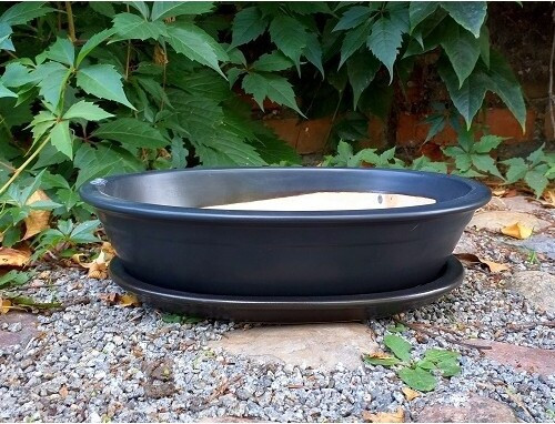 Czarna owalna doniczka do bonsai