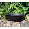 Czarna owalna doniczka do bonsai