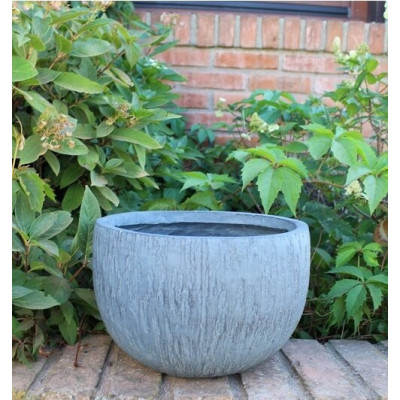 donica Mary kula szara kora