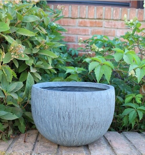 donica Mary kula szara kora