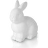Królik biały wielkanocny