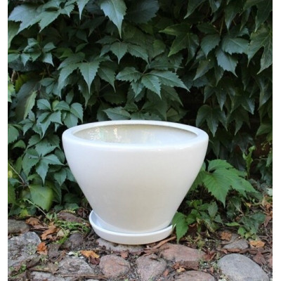 Misa Junia lejkowata niska biała