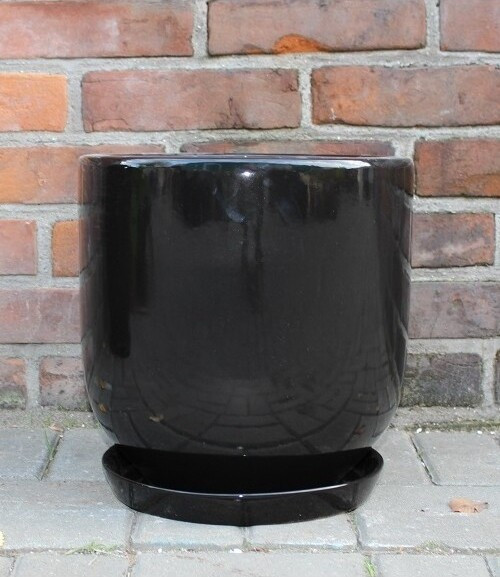 Donica Junia walcowata czarna
