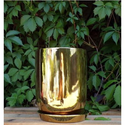 Donica Szalin mała złota