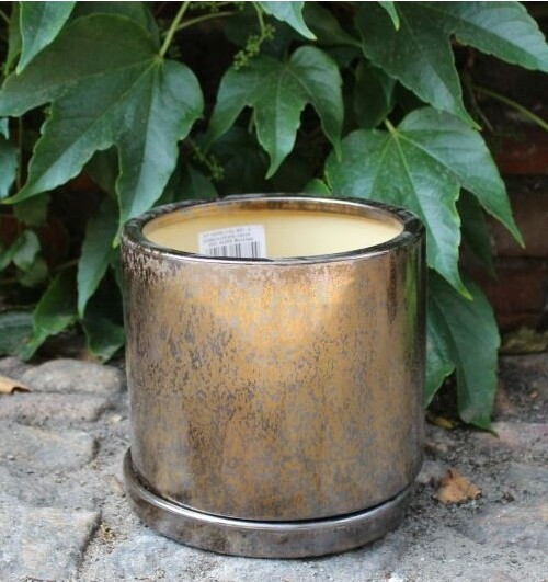 Donica Vici walec miedż