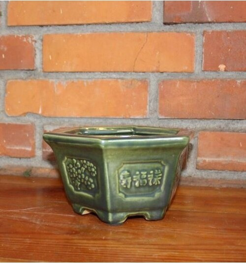 Doniczka bonsai zielona sześciokąt