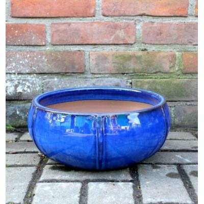 Misa Elipsa niebieska