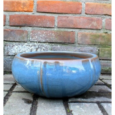 Misa Elipsa jasny błękit