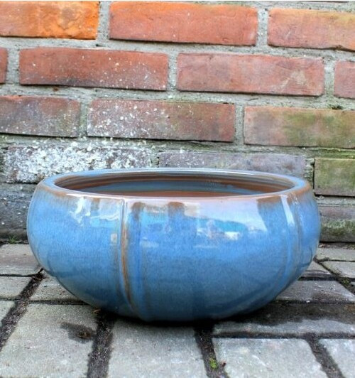 Misa Elipsa jasny błękit