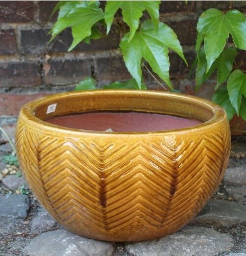 Misa Jodełka miodowa