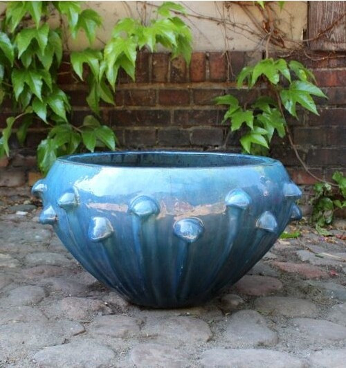 Donica Volterra turkus