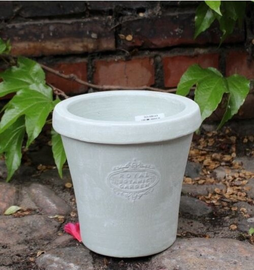 Donica terakota  Royal Botanic Garden szara