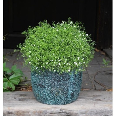 Donica Misty beczka antyk zielona