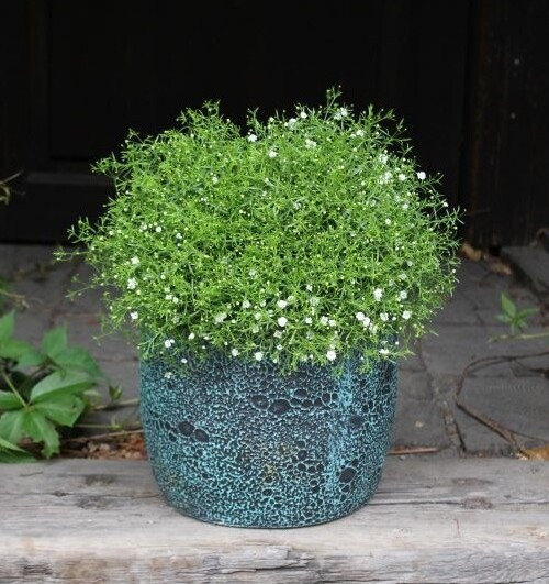 Donica Misty beczka antyk zielona