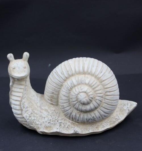 Ślimak beżowy mały