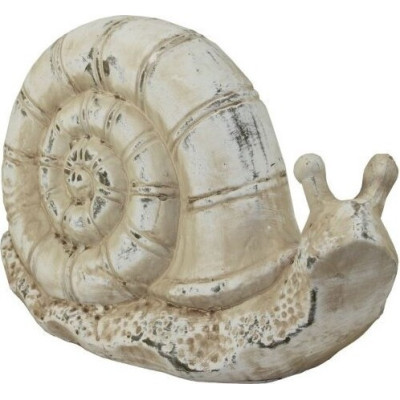 Ślimak beżowy duży