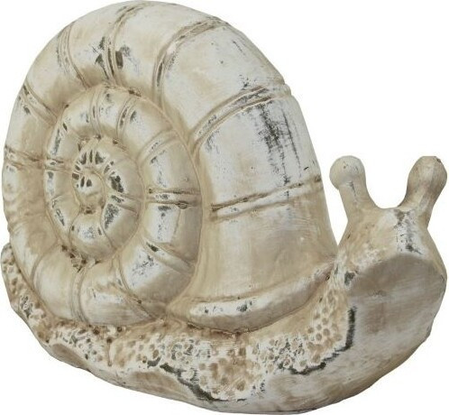 Ślimak beżowy duży