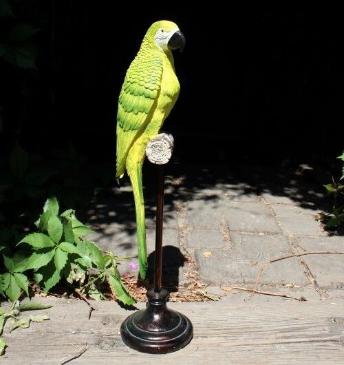 Papuga żółta