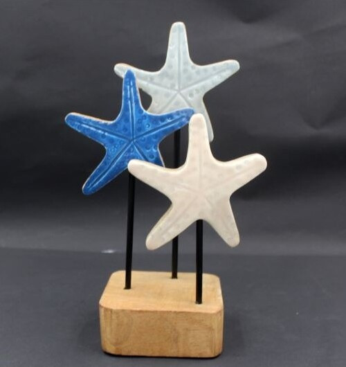 Rozgwiazdy mango 3 kolory