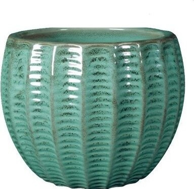 Donica Hossegor seledyn