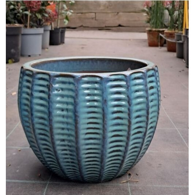 Donica Hossegor turkus